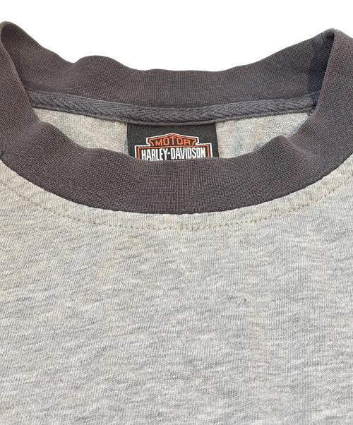 HARLEY-DAVIDSON（ハーレーダビッドソン）HARLEY-DAVIDSON (ハーレーダビッドソン) Tシャツ グレー サイズ:Ｌの古着・服飾アイテム