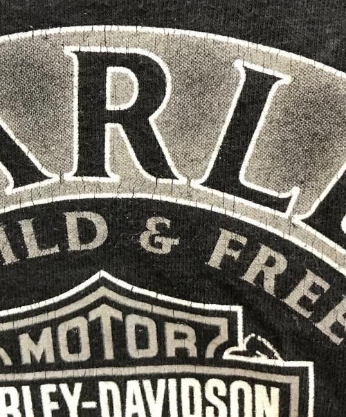 HARLEY-DAVIDSON（ハーレーダビッドソン）HARLEY-DAVIDSON (ハーレーダビッドソン) プリントTシャツ ブラック サイズ:2XLの古着・服飾アイテム