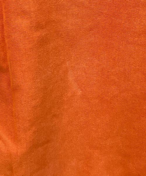 Champion（チャンピオン）Champion (チャンピオン) 00’Sパーカー オレンジ サイズ:Lの古着・服飾アイテム