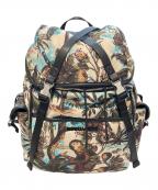 DSQUARED2ディースクエアード）の古着「Monkey Business ナイロンバックパック　S82BPM0130」｜スカイブルー