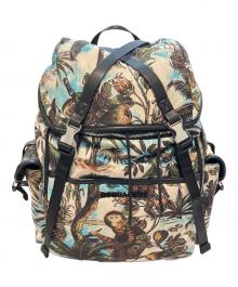 DSQUARED2（ディースクエアード）の古着「Monkey Business ナイロンバックパック　S82BPM0130」｜スカイブルー