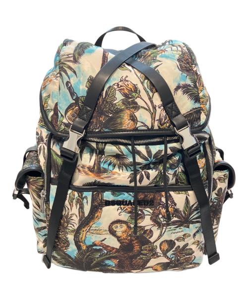 DSQUARED2（ディースクエアード）DSQUARED2 (ディースクエアード) Monkey Business ナイロンバックパック　S82BPM0130 スカイブルー サイズ:-の古着・服飾アイテム