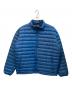 Patagonia（パタゴニア）の古着「ダウンセータージャケット」｜ブルー