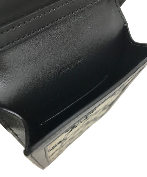 CELINE（セリーヌ）CELINE (セリーヌ) トリオンフ バーティカル モバイルポーチ ベージュ×ブラックの古着・服飾アイテム