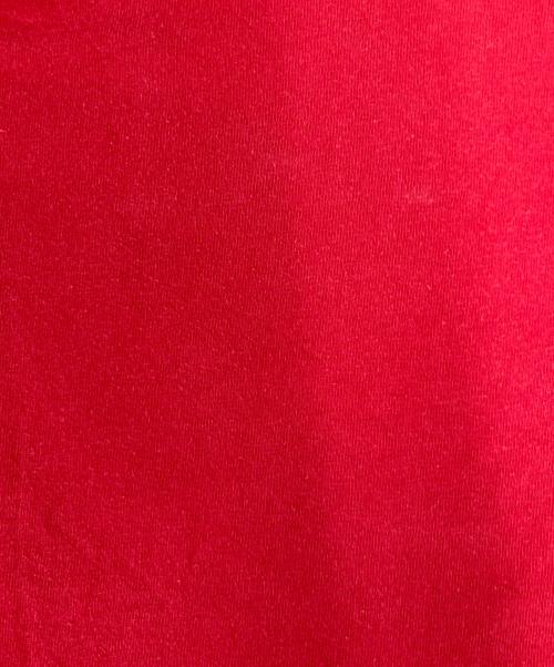 stussy（ステューシー）stussy (ステューシー) オールドスカルプリントTシャツ レッド サイズ:Ｍの古着・服飾アイテム