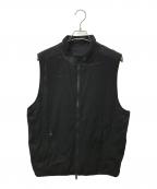 WILD THINGS×LAKE SEEKERSワイルドシングス×レイクシーカーズ）の古着「POLARTEC REVERSIBLE VEST」｜ブラック