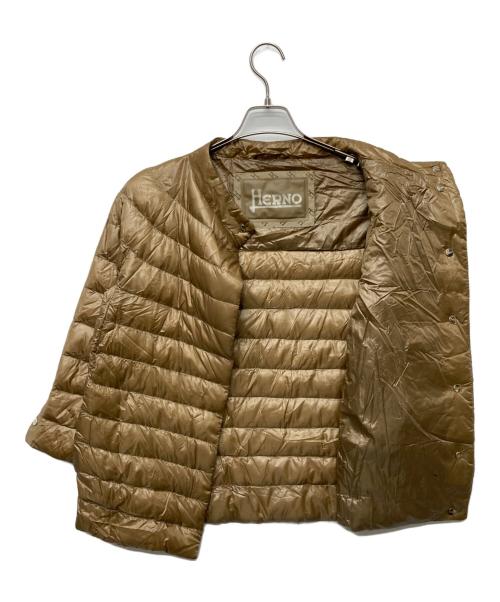 HERNO（ヘルノ）HERNO (ヘルノ) モックネック ダウンジャケット ブラウン サイズ:42の古着・服飾アイテム