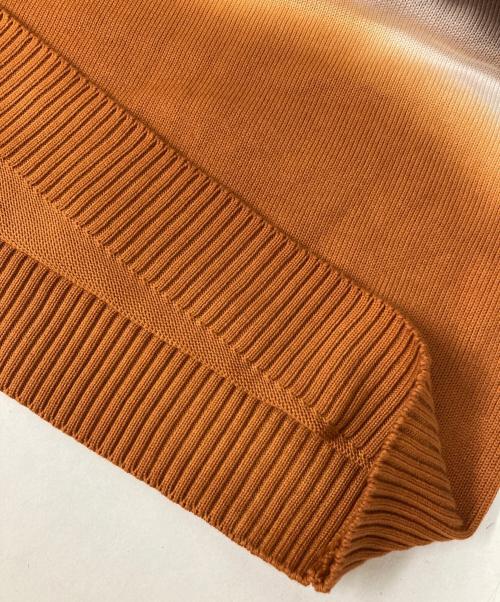 CANTATE（カンタータ）CANTATE (カンタータ) Wild Life Tailor (ワイルドライフテイラー) 別注first pick suvin gold tie-dye knit ブラウンの古着・服飾アイテム