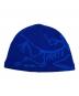 ARC'TERYX（アークテリクス）の古着「Bird Head Toque ビーニー」｜ブルー