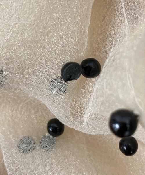 eimy istoire（エイミーイストワール）eimy istoire (エイミーイストワール) パールスタッズボリュームフレアスカート ベージュ サイズ:SIZE Freeの古着・服飾アイテム