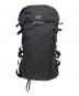 ARC'TERYX（アークテリクス）の古着「BRIZE 25 Backpack」｜ブラック