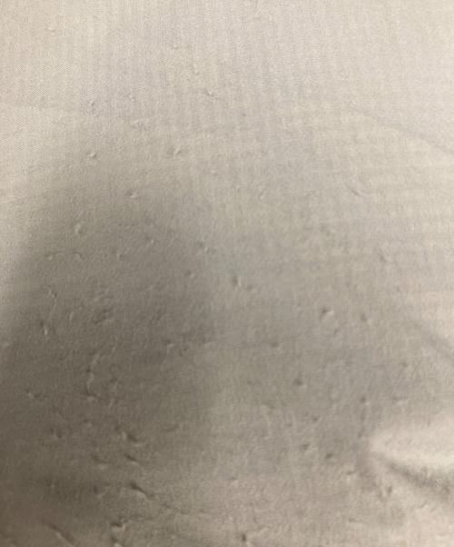 NANGA（ナンガ）NANGA (ナンガ) F/CE. (エフシーイー) MINIMAL DOWN JACKET グリーン サイズ:Ｍの古着・服飾アイテム