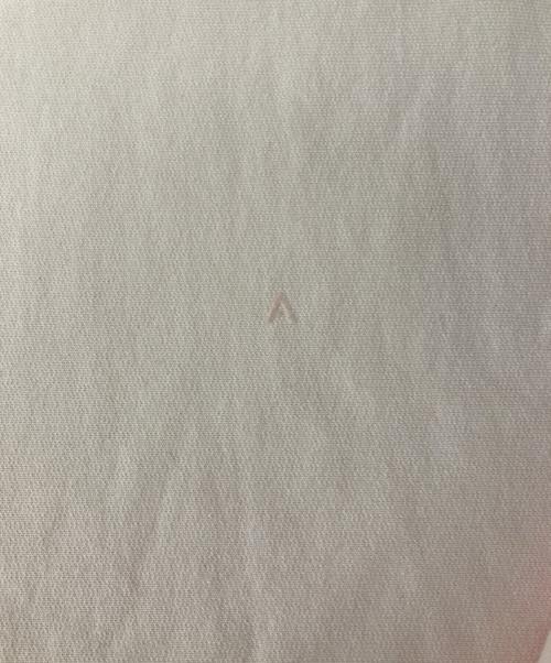 ATON（エイトン）ATON (エイトン) クルーネックスウェット ピンク サイズ:6の古着・服飾アイテム