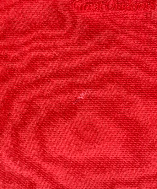 Champion REVERSE WEAVE（チャンピオン リバース ウィーブ）Champion REVERSE WEAVE (チャンピオン リバース ウィーブ) ヴィンテージクルーネックスウェット レッド サイズ:Ｓの古着・服飾アイテム