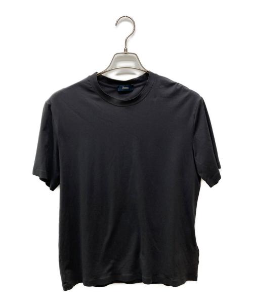 HERNO（ヘルノ）HERNO (ヘルノ) クルーネックカットソー/JG0004U 52003 グレー サイズ:48の古着・服飾アイテム