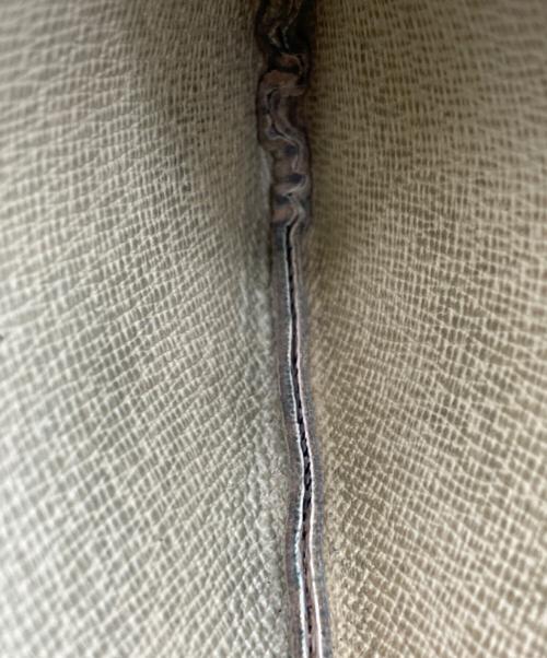 LOUIS VUITTON（ルイ ヴィトン）LOUIS VUITTON (ルイ ヴィトン) ポシェット・クレ ホワイトの古着・服飾アイテム