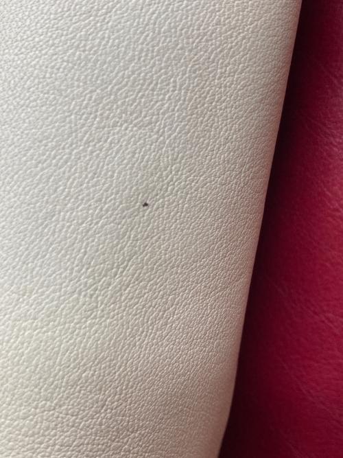 acanthus（アカンサス）acanthus (アカンサス) レザースタジアムジャケット/LST1101 レッド サイズ:Ｍの古着・服飾アイテム