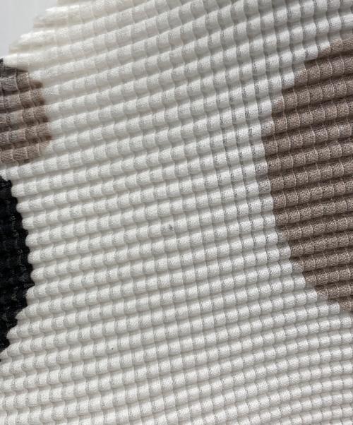 me ISSEY MIYAKE（ミーイッセイ ミヤケ）me ISSEY MIYAKE (ミーイッセイ ミヤケ) 総柄プリーツカットソー/MI63FK136 ホワイト サイズ:ＦＲＥＥの古着・服飾アイテム