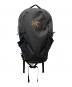 ARC'TERYX（アークテリクス）の古着「MANTIS 16」｜ブラック