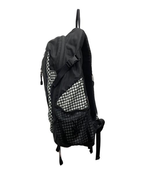 THE NORTH FACE（ザ ノース フェイス）THE NORTH FACE (ザ ノース フェイス) TELLUS 25バックパック/NM06113 ブラックの古着・服飾アイテム