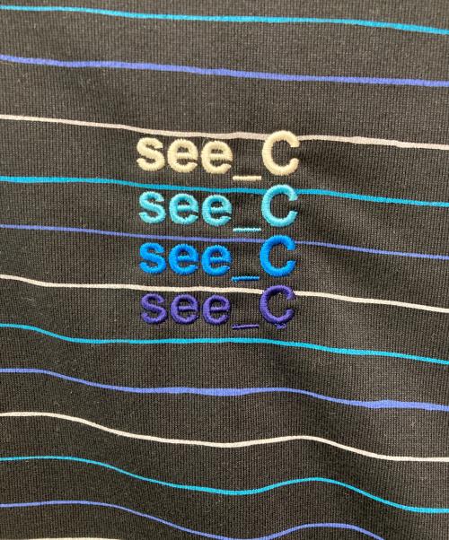SEESEE（シーシー）SEESEE (シーシー) EYE CANDY (アイキャンディ) SUPER BIG BORDER LS TEE ブルー サイズ:Lの古着・服飾アイテム