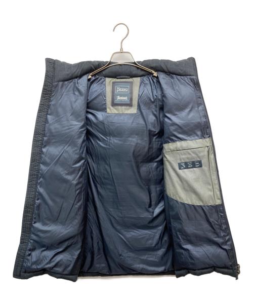 HERNO（ヘルノ）HERNO (ヘルノ) Laminarダウンフーディーコート グレー サイズ:46の古着・服飾アイテム