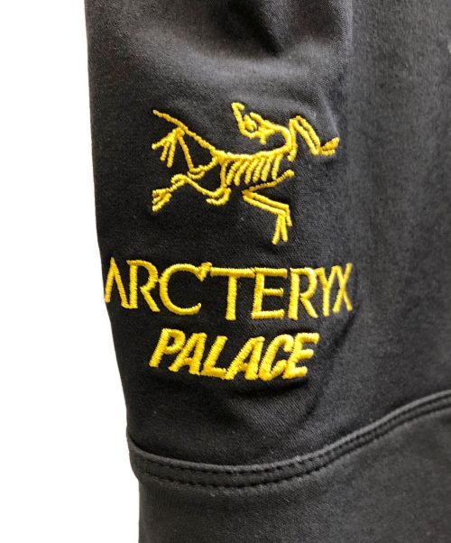 ARC'TERYX（アークテリクス）ARC'TERYX (アークテリクス) PALACE (パレス) GAMMA AR PANT ブラック サイズ:Sの古着・服飾アイテム