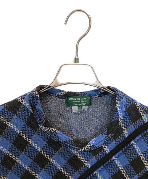 COMME des GARCONS HOMME PLUS EVER GREEN（コムデギャルソンオムプリュス エバーグリーン）COMME des GARCONS HOMME PLUS EVER GREEN (コムデギャルソンオムプリュス エバーグリーン) ラインデザインチェックカットソー ブルー サイズ:Sの古着・服飾アイテム