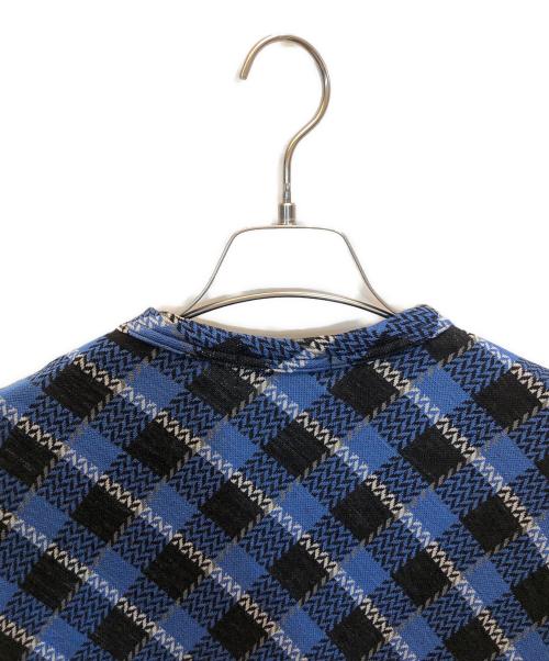 COMME des GARCONS HOMME PLUS EVER GREEN（コムデギャルソンオムプリュス エバーグリーン）COMME des GARCONS HOMME PLUS EVER GREEN (コムデギャルソンオムプリュス エバーグリーン) ラインデザインチェックカットソー ブルー サイズ:Sの古着・服飾アイテム