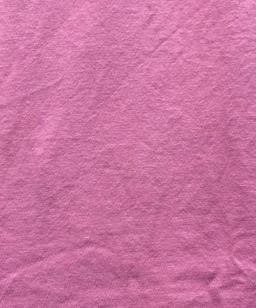 stussy（ステューシー）stussy (ステューシー) Colorado Tee ピンク サイズ:Lの古着・服飾アイテム