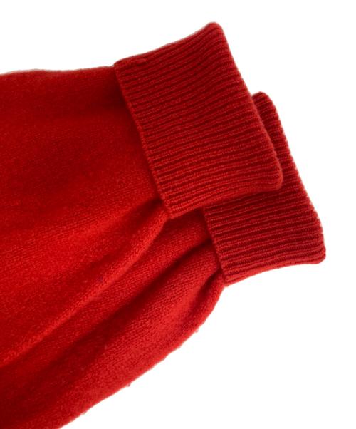 IENA（イエナ）IENA (イエナ) POOGINOOK WOOL クルーネックラグランプルオーバー レッド サイズ:-の古着・服飾アイテム