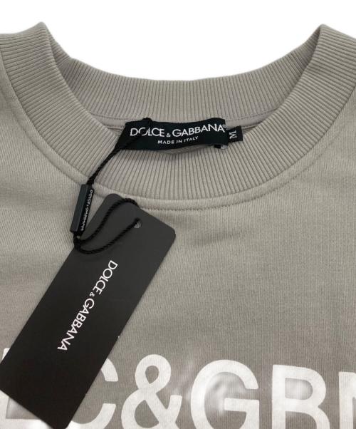 DOLCE & GABBANA（ドルチェ＆ガッバーナ）DOLCE & GABBANA (ドルチェ＆ガッバーナ) ロゴプリント クルーネックスウェット グレー サイズ:Mの古着・服飾アイテム