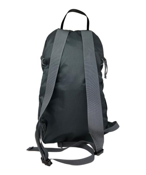 ARC'TERYX（アークテリクス）ARC'TERYX (アークテリクス) インデックス15 バックパック グレーの古着・服飾アイテム