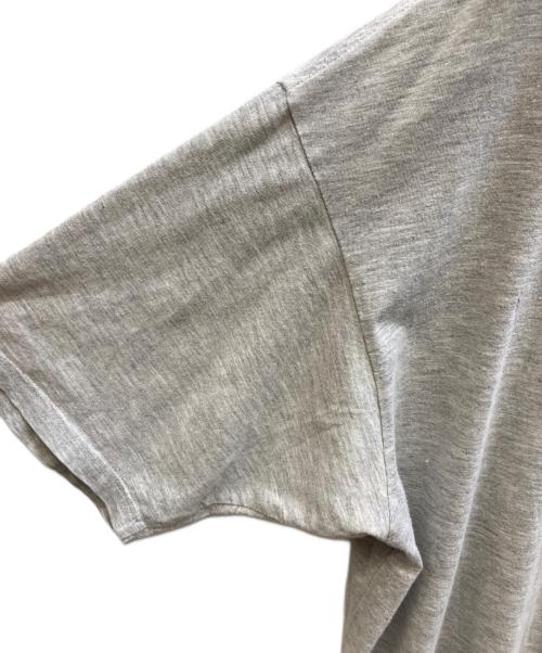 stussy（ステューシー）stussy (ステューシー) プリントTシャツ グレー サイズ:Mの古着・服飾アイテム