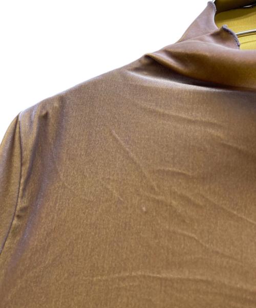 Ameri（アメリ）AMERI (アメリ) ベロアカットソー ブラウン サイズ:Fの古着・服飾アイテム