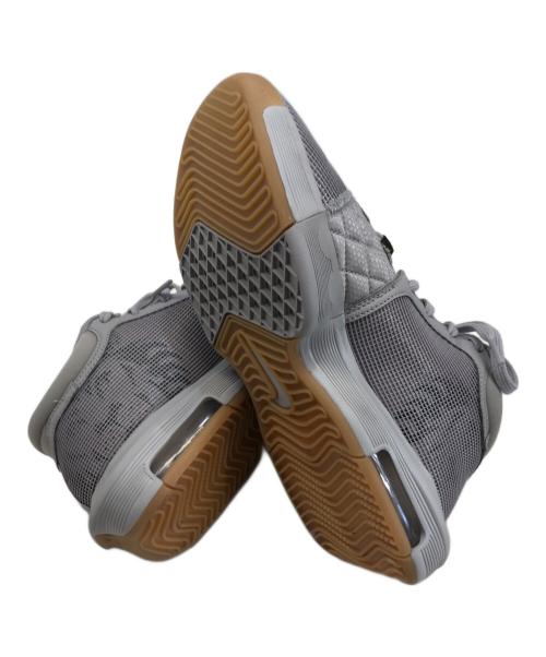 NIKE（ナイキ）NIKE (ナイキ) レブロン ウィットネス8 EP グレー サイズ:27の古着・服飾アイテム