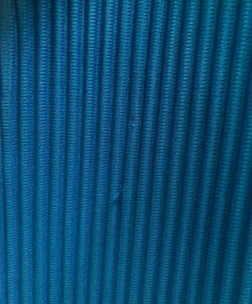 HOMME PLISSE ISSEY MIYAKE（オム プリッセ イッセイ ミヤケ）HOMME PLISSE ISSEY MIYAKE (オム プリッセ イッセイ ミヤケ) プリーツ ダブルジャケット ブルー サイズ:2の古着・服飾アイテム