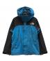 THE NORTH FACE（ザ ノース フェイス）の古着「Mountain Jacket」｜ブラック×ブルー