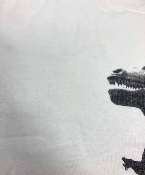 stussy（ステューシー）stussy (ステューシー) BIG and MEATY Tee/90s ホワイト サイズ:Mの古着・服飾アイテム