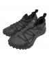 NIKE ACG（ナイキエーシージー）の古着「Mountain Fly Low GTX SE 