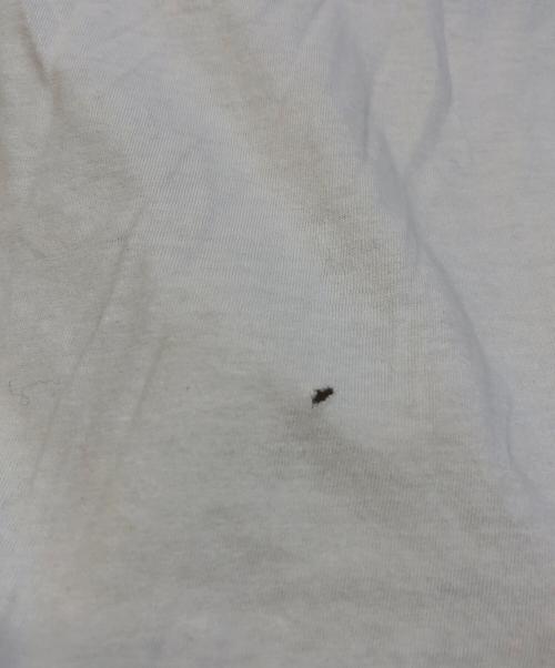 stussy（ステューシー）stussy (ステューシー) ラグランスリーブカットソー レッド サイズ:Mの古着・服飾アイテム