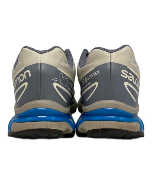 SALOMON（サロモン）SALOMON (サロモン) XT-6 'Metal Flint Stone Ghost Gray' グレー サイズ:27.5㎝の古着・服飾アイテム