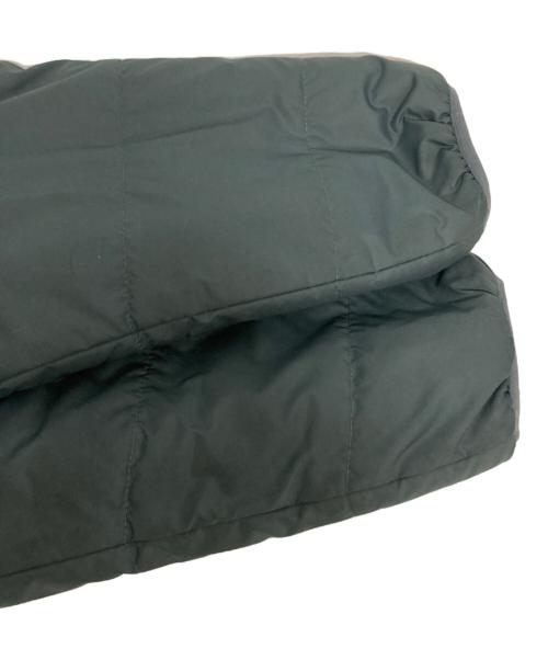 Patagonia（パタゴニア）Patagonia (パタゴニア) リバーシブル フリースジャケット ブルー サイズ:-の古着・服飾アイテム