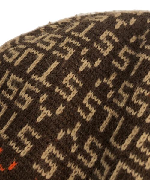 stussy（ステューシー）stussy (ステューシー) 90's ニット帽 ブラウンの古着・服飾アイテム