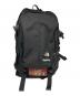 THE NORTH FACE（ザ ノース フェイス）の古着「エクスペディションミディアムデイパック」｜ブラック
