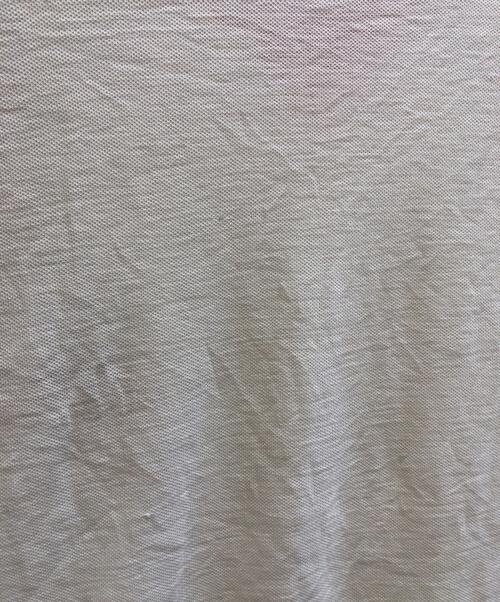 Champion（チャンピオン）Champion (チャンピオン) バータグ後期 ダンネックシャツ ホワイト×レッド サイズ:Lの古着・服飾アイテム