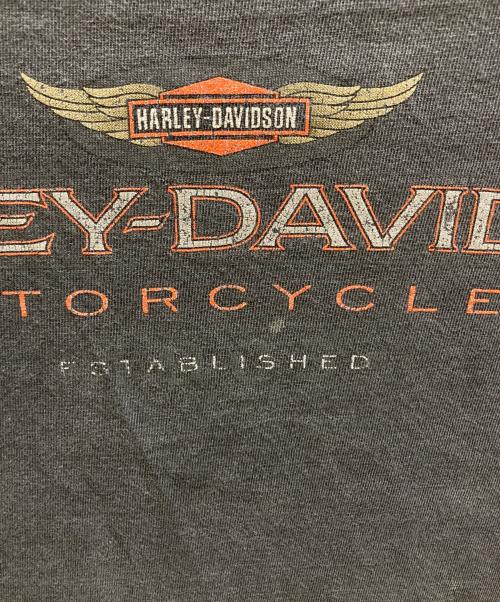HARLEY-DAVIDSON（ハーレーダビッドソン）HARLEY-DAVIDSON (ハーレーダビッドソン) 半袖Tシャツ グレー サイズ:5XLの古着・服飾アイテム