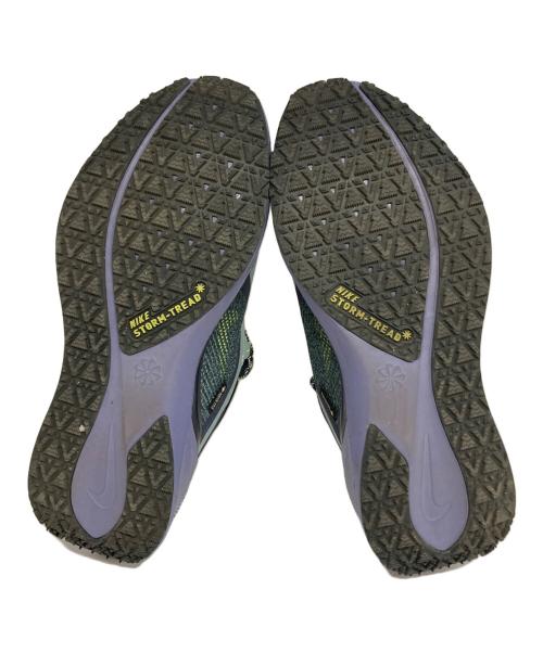 NIKE（ナイキ）NIKE (ナイキ) ペガサス 41 GORE-TEX/FQ1356-006 グリーン サイズ:US8.5/UK7.5/EUR42の古着・服飾アイテム