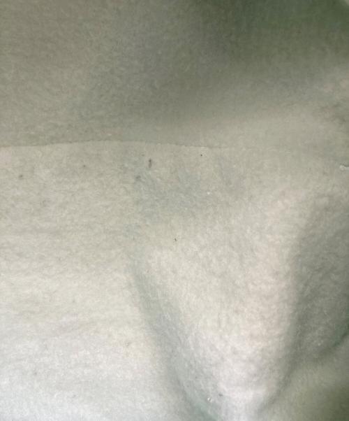 SUPREME（シュプリーム）SUPREME (シュプリーム) 23AW Box Logo Hooded Sweatshirt グリーン サイズ:Mの古着・服飾アイテム