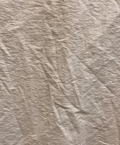 The Ennnoy Professional（ザ エンノイ プロフェッショナル）The Ennnoy Professional Stylistshibutsu (Stylistshibutsu) 21AW Nylon Jacket/AW21BRENJK03LV ベージュ サイズ:XLの古着・服飾アイテム